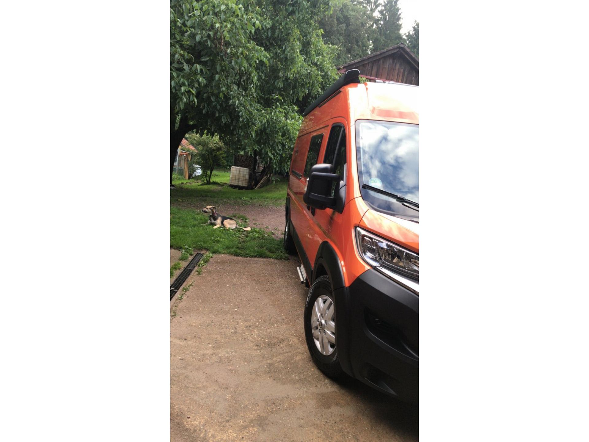 foto6